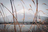 A glimpse of Mount Fuji