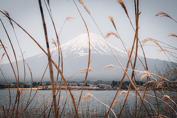 A glimpse of Mount Fuji van Anouk Sassen