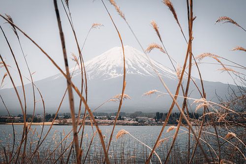 A glimpse of Mount Fuji