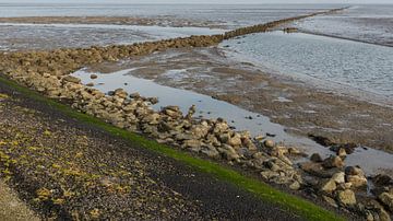 De dijk en dammen bij Paessens-Moddergat in de drooggevallen Waddenzee.