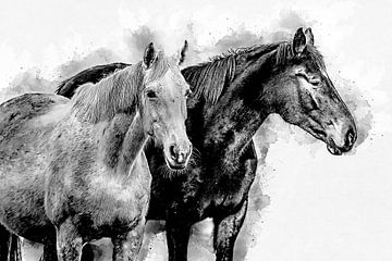 Black & White horse (kunst) van Art by Jeronimo