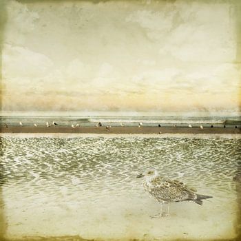 Sehnsucht nach der Küste.