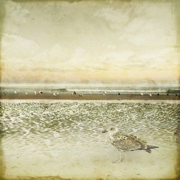 Verlangend naar de kust. Impressionisme. van Alie Ekkelenkamp
