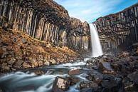 Svartifoss, de zwarte waterval in zuid IJsland van Gerry van Roosmalen thumbnail