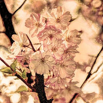 Digital Art Medium Fleurs Plantes Fleuries