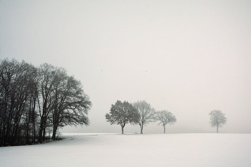 Stiller Winter Tag von Lena Weisbek