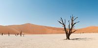 Namibia