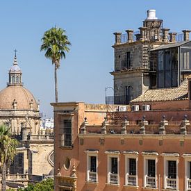 Collegiate Church of Our Lady of St Salvador in Jerez de la Frontera, province of Cádiz, Andalusia, Spain by Fotos by Jan Wehnert