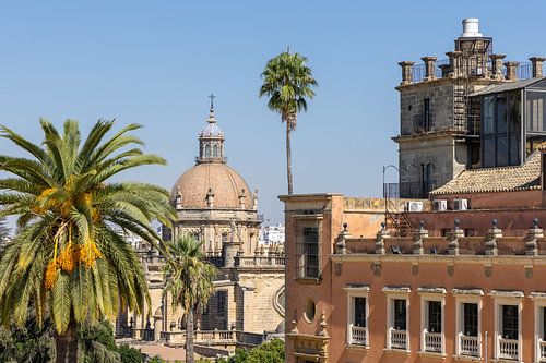 Collegiale kerk van Onze-Lieve-Vrouw van Sint Salvador in Jerez de la Frontera, provincie Cádiz, Andalusië, Spanje