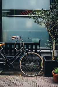 Fahrrad in Den Haag von Patrycja Polechonska