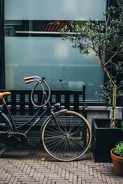 Bicycle in The Hague by Patrycja Polechonska