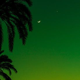 Silhouette Green Sky by Walljar