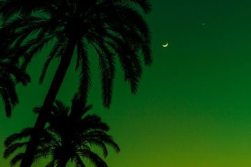 Silhouet Groene Lucht van Walljar