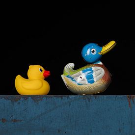 Folgen Sie mir von Elles Rijsdijk