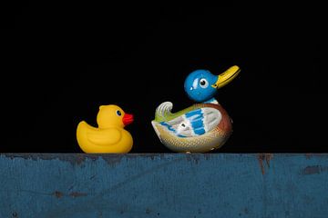 Follow me by Elles Rijsdijk