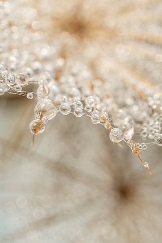 Druppels volgen de lijnen van de structuur uit de natuur