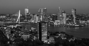 Ligne d'horizon de Rotterdam en noir et blanc