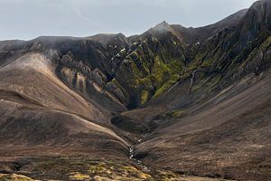 Versant de montagne couvert de mousse au Svalbard
