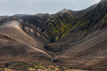 Bemoste berghelling op Spitsbergen van Anouschka Hendriks