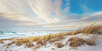 Noordzeestrand Panorama van Florian Kunde thumbnail