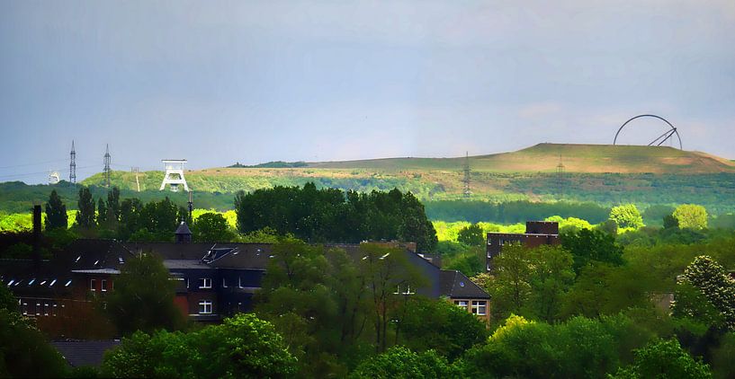 Herten Panorama van Edgar Schermaul