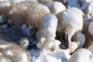 Ice flowers
