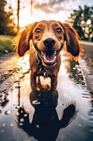 Chien heureux lors d'une promenade