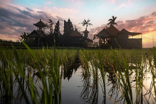 Zonsopgang boven een hindoetempel op Bali