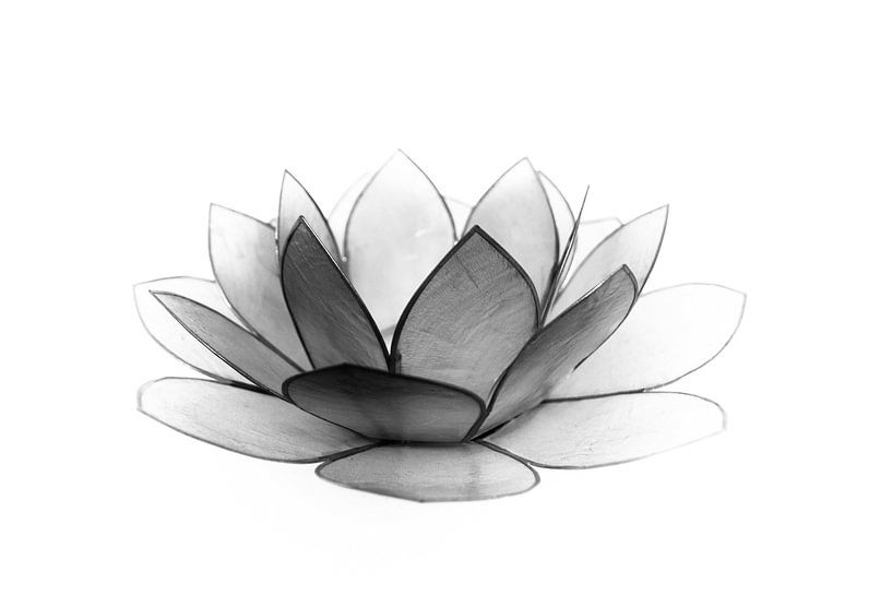 Lotusblume in Schwarz und Weiß von Callista de Sterke