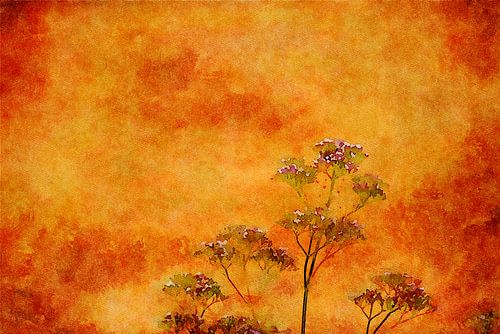 Levendige elegantie: aquarel schilderen Valeriaan