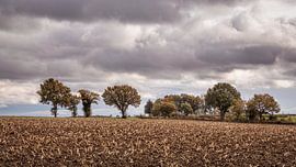 Herbst in Hilleshagen