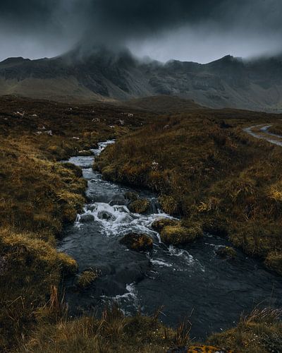 Là où la pluie montre le chemin