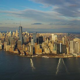 New York City - Big Apple met vele wolkenkrabbers van boven van adventure-photos