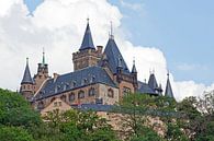 Kasteel Wernigerode (Saksen-Anhalt) van t.ART thumbnail