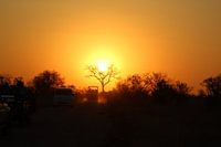 Coucher de soleil sur la savane