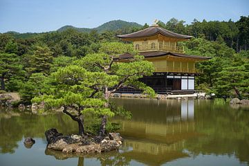 Rokuonji Temple, Kyoto, Japan by André Bouterse