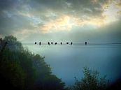 Morning at the river II by Ilona Picha-Höberth thumbnail