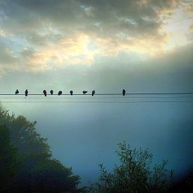 Matin au bord de la rivière II sur Ilona Picha-Höberth