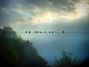 Morgen am Fluss II