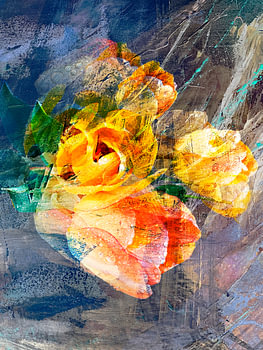 Leuchtend gelbe Tulpen nach dem Regen