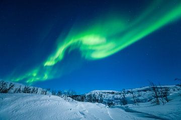 Noorderlicht in Noorwegen van Gerald Lechner