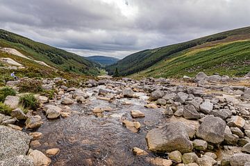 Vallée dans les montagnes de Wicklow, Irlande sur Huub de Bresser