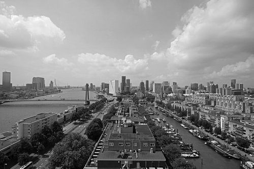 Rotterdam skyline panorama high rise print black white