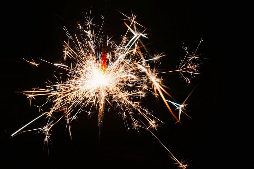 Leidenschaft! von Jan van der Knaap