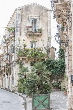 Groene planten in een straat op Sicilië in Italië van Photolovers reisfotografie