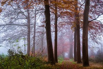 Dromerige dageraad van Tvurk Photography