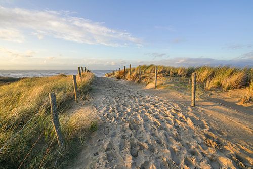 Duin en strand aan de kust van Nederland