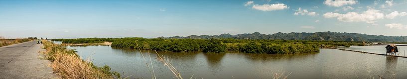 Vietnam Panorama by Pjetka Grotewal