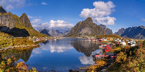 Gouden herfst aan de Reinefjord, Reine, Lofoten, Noorwegen