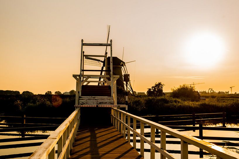 Sun, Shadow and Backlight by Brian Morgan